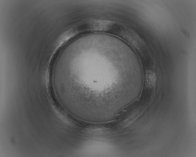 X0000116620726200912241752