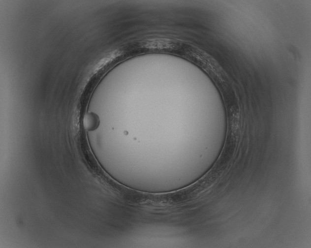 X0000116620727200912241752