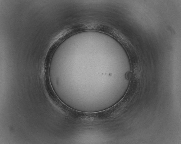 X0000116620730200912241752