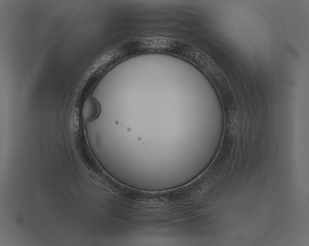 X0000116620731200912241752