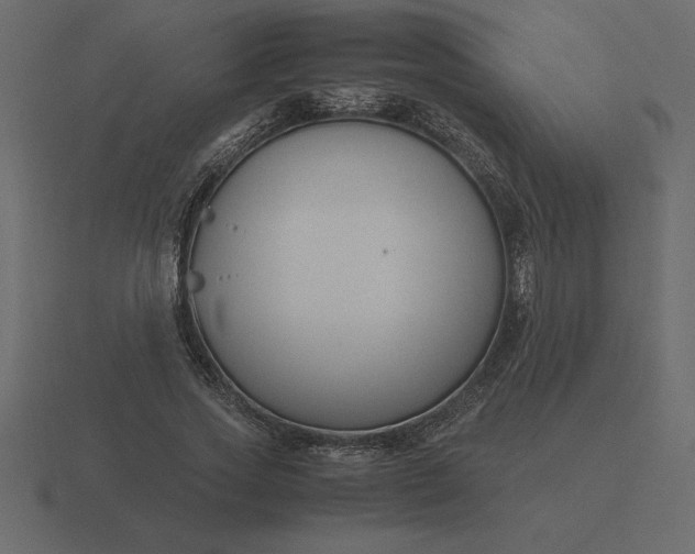 X0000116620733200912241752