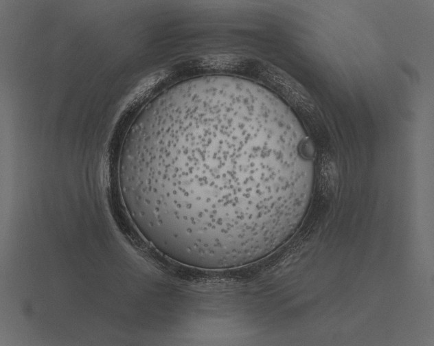 X0000116620734200912241752