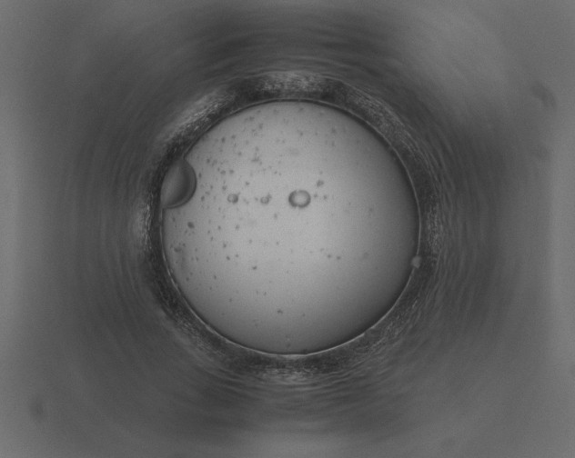 X0000116620735200912241752