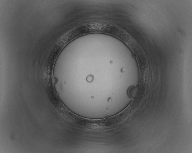 X0000116620737200912241752