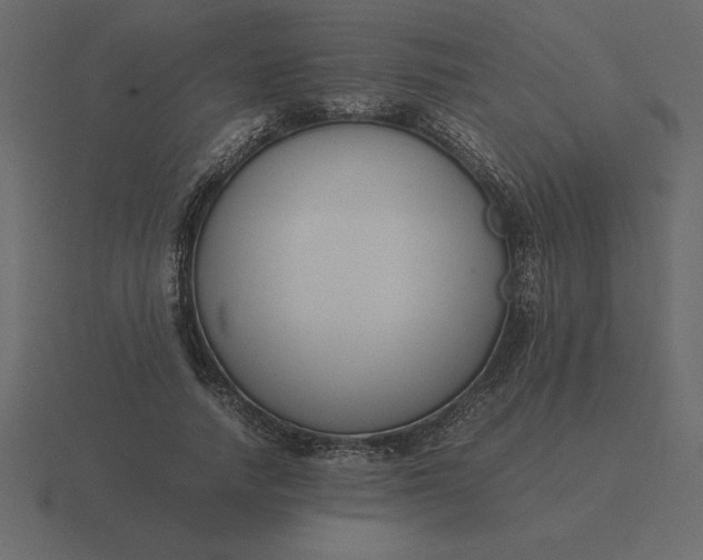 X0000116620738200912241752