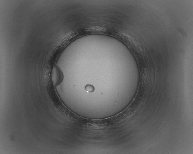 X0000116620739200912241752