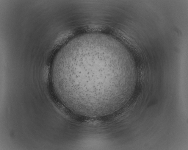 X0000116620742200912241752