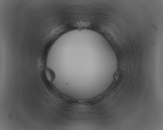 X0000116620743200912241752