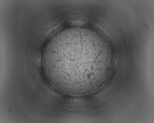 X0000116620745200912241752