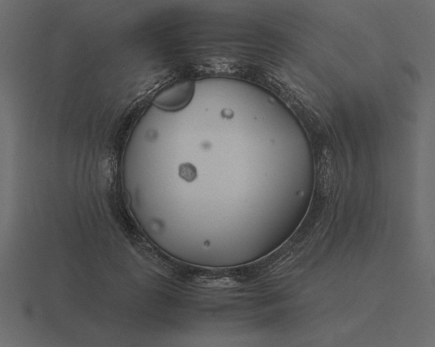 X0000116620747200912241752