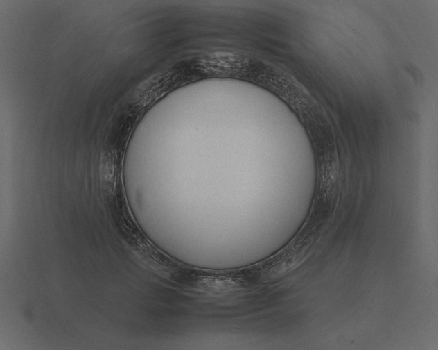 X0000116620749200912241752