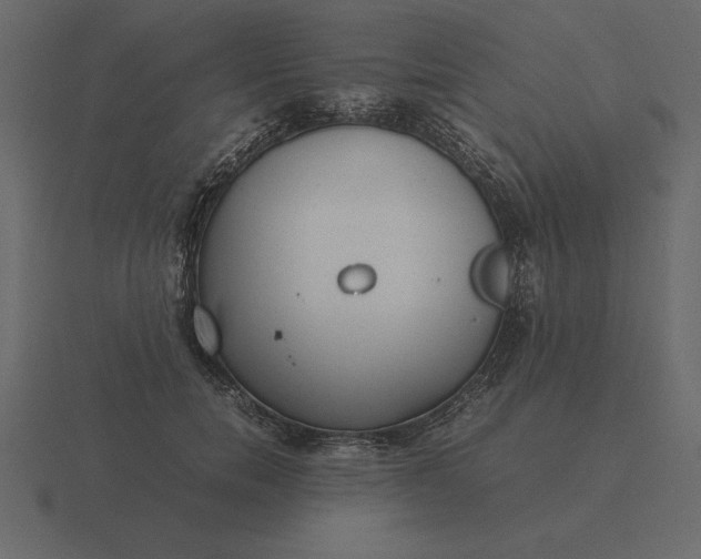 X0000116620750200912241753