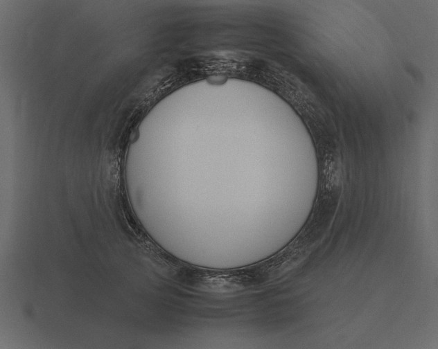 X0000116620753200912241753