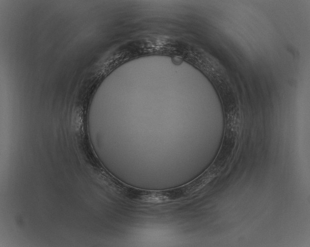 X0000116620754200912241753