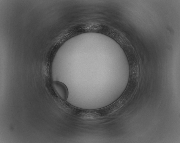 X0000116620755200912241753