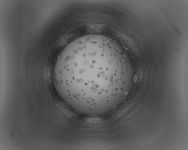 X0000116620759200912241753