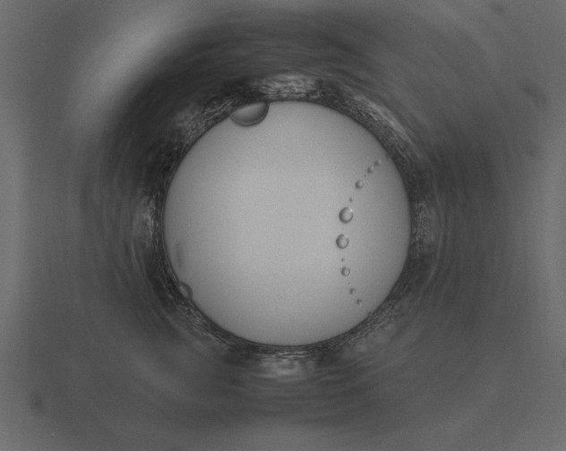 X0000116620761200912241753