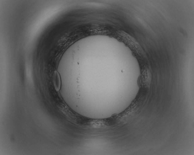 X0000116620762200912241753