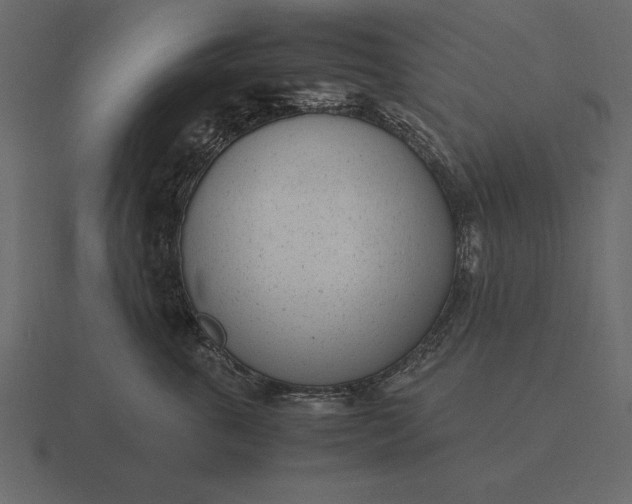 X0000116620763200912241753