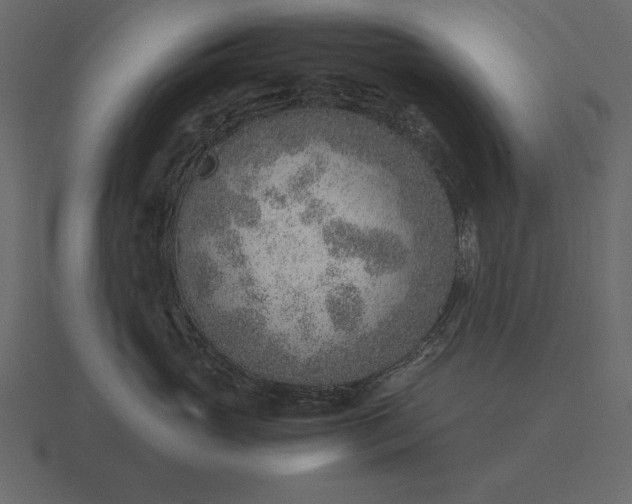 X0000116620765200912241753