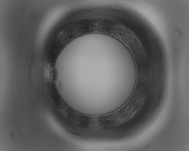 X0000116620766200912241753