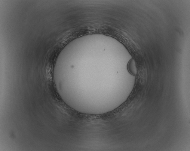 X0000116620770200912241752