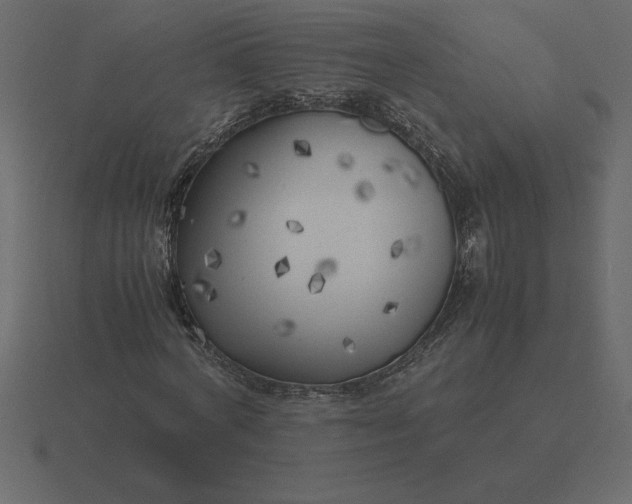 X0000116620772200912241752