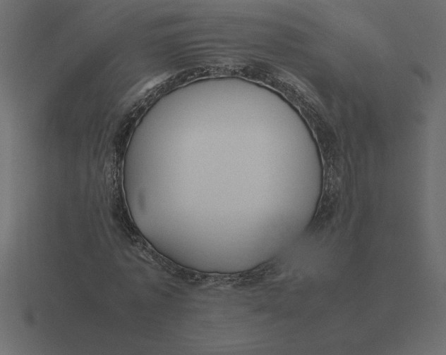 X0000116620773200912241752