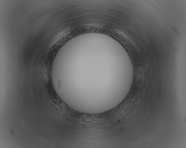 X0000116620774200912241752