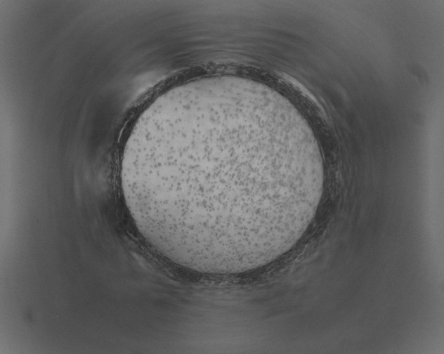 X0000116620775200912241752