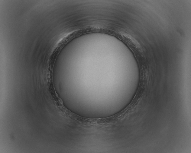 X0000116620776200912241752