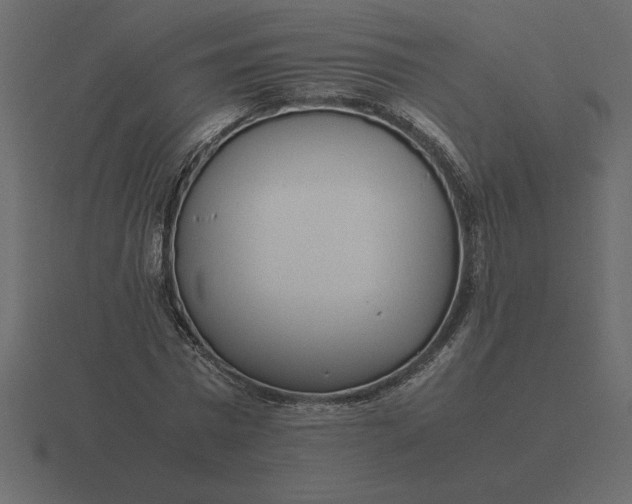 X0000116620777200912241752