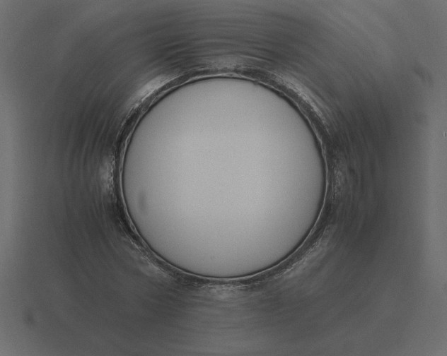 X0000116620778200912241752