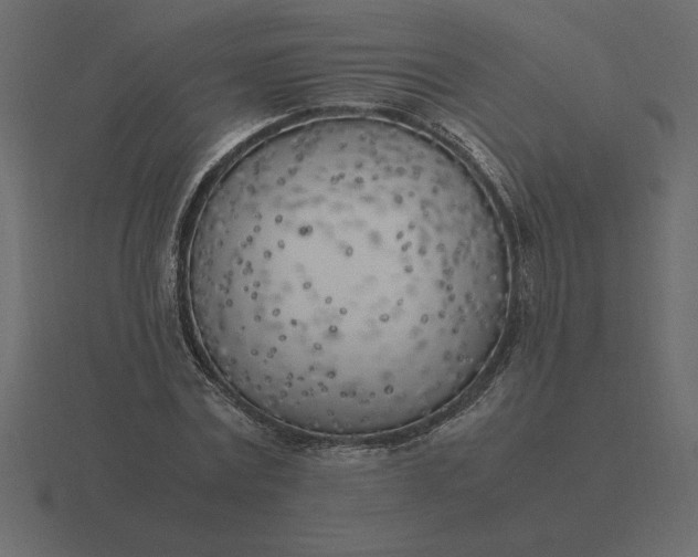 X0000116620779200912241752