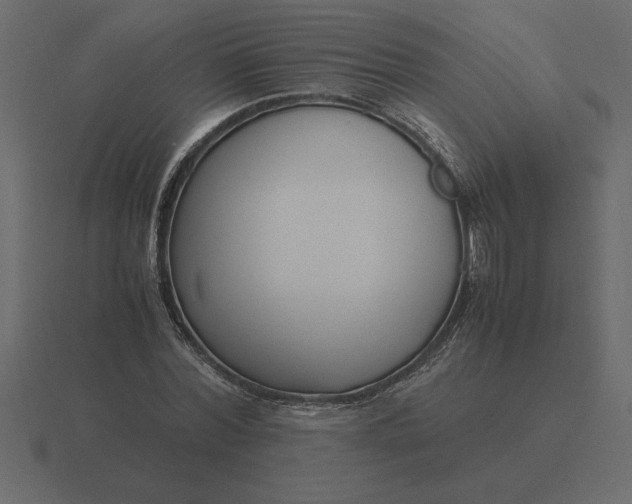 X0000116620780200912241752