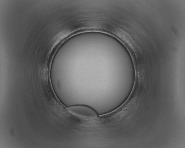 X0000116620781200912241752