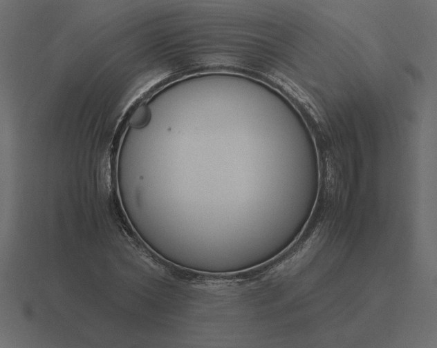 X0000116620782200912241752