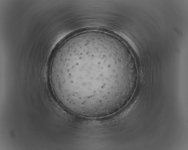 X0000116620783200912241752