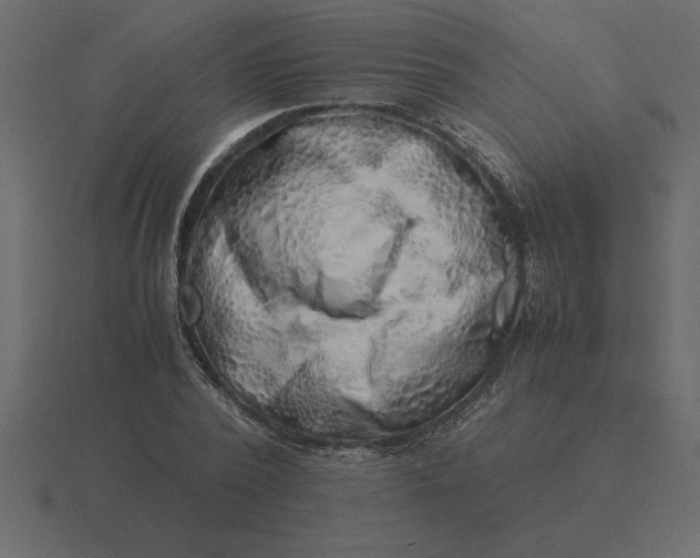 X0000116620784200912241752