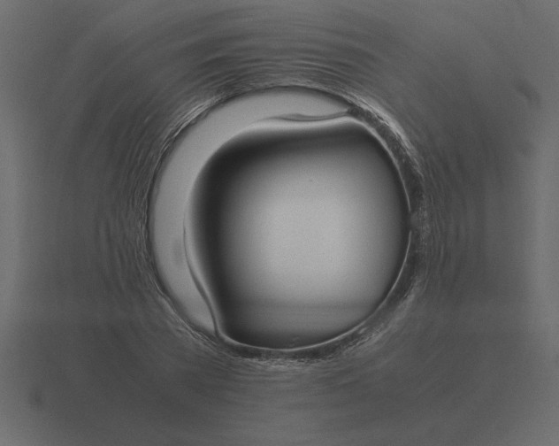 X0000116620785200912241752