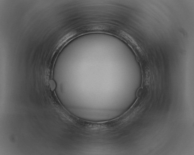 X0000116620786200912241752