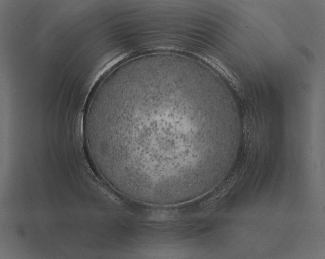 X0000116620790200912241752