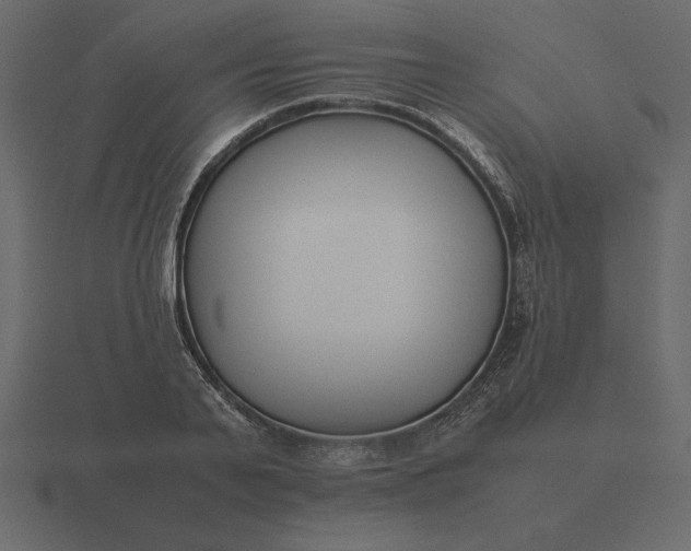 X0000116620791200912241752