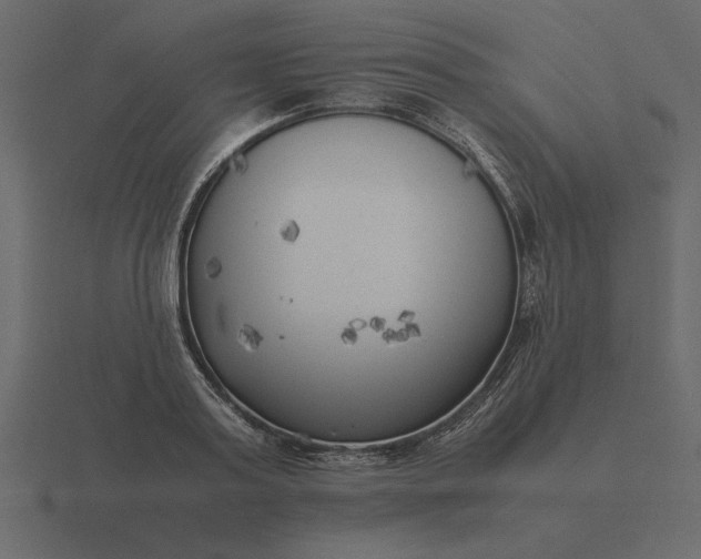 X0000116620795200912241752