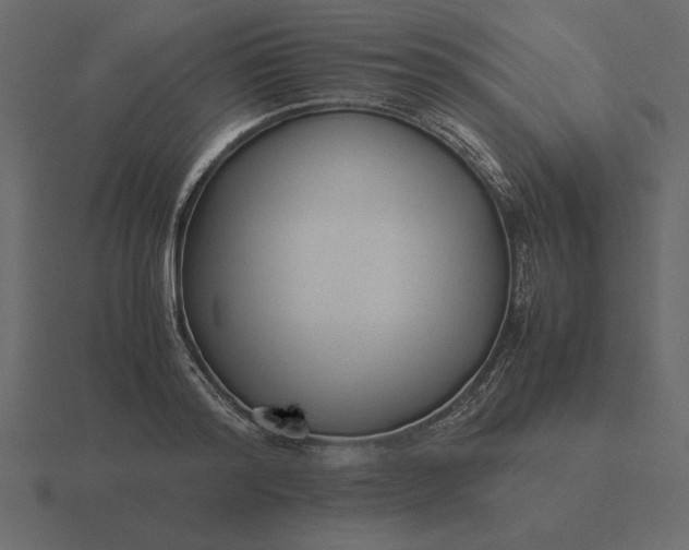 X0000116620796200912241752