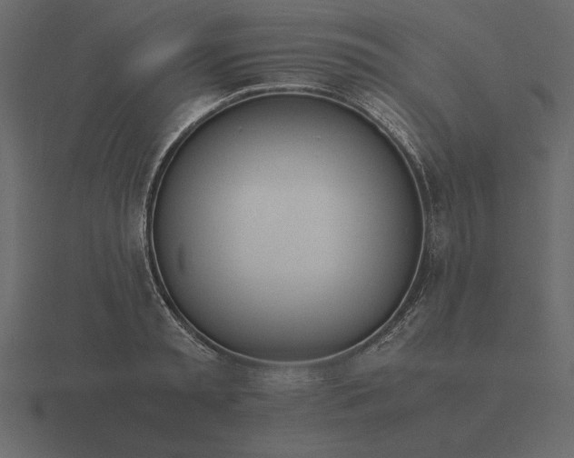 X0000116620797200912241752