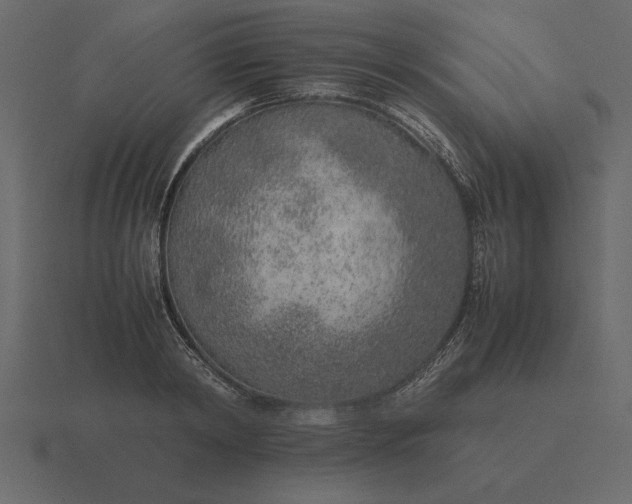 X0000116620798200912241752