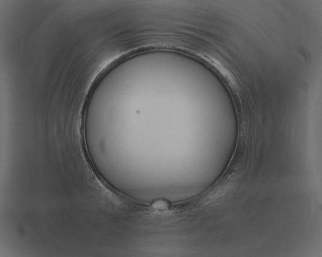 X0000116620799200912241751