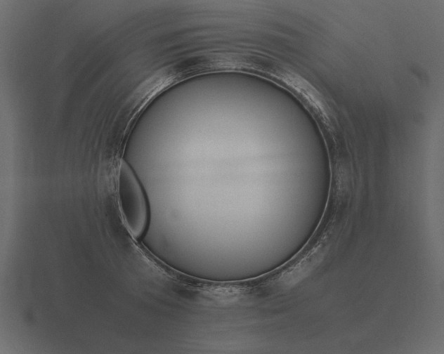 X0000116620801200912241751