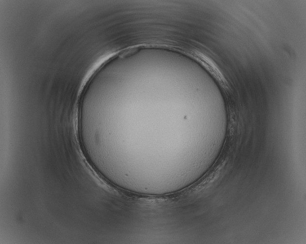 X0000116620804200912241751